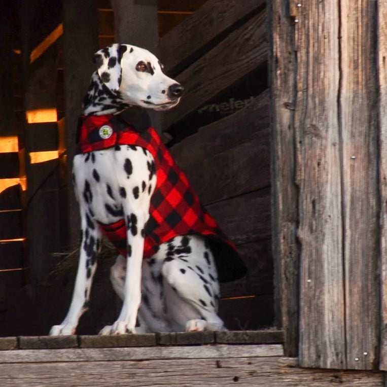 Up Country Buffalo Check Fleece Coat