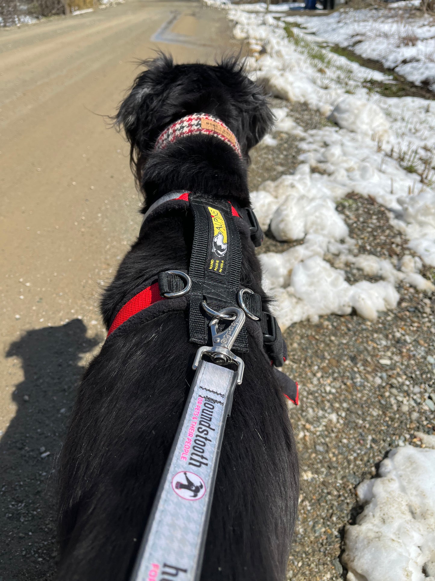 Alpine Urban Trail Adjustable Harness