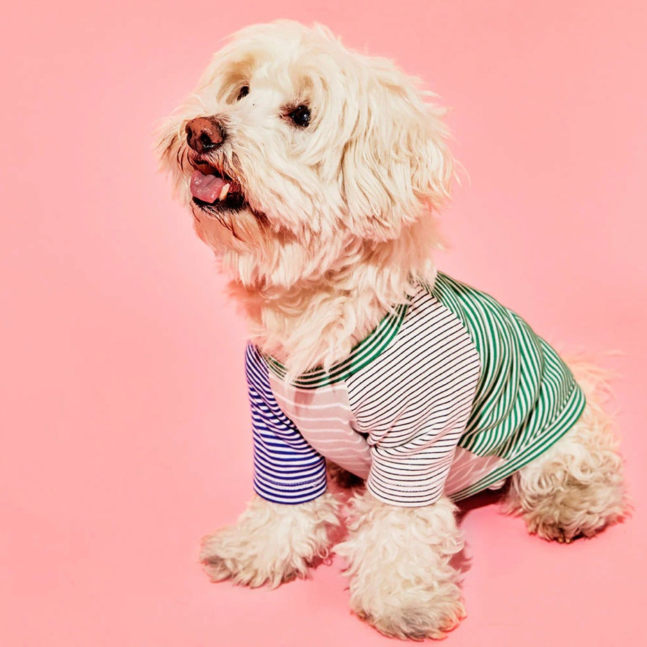 Ware of the Dog Striped Tee Shirt