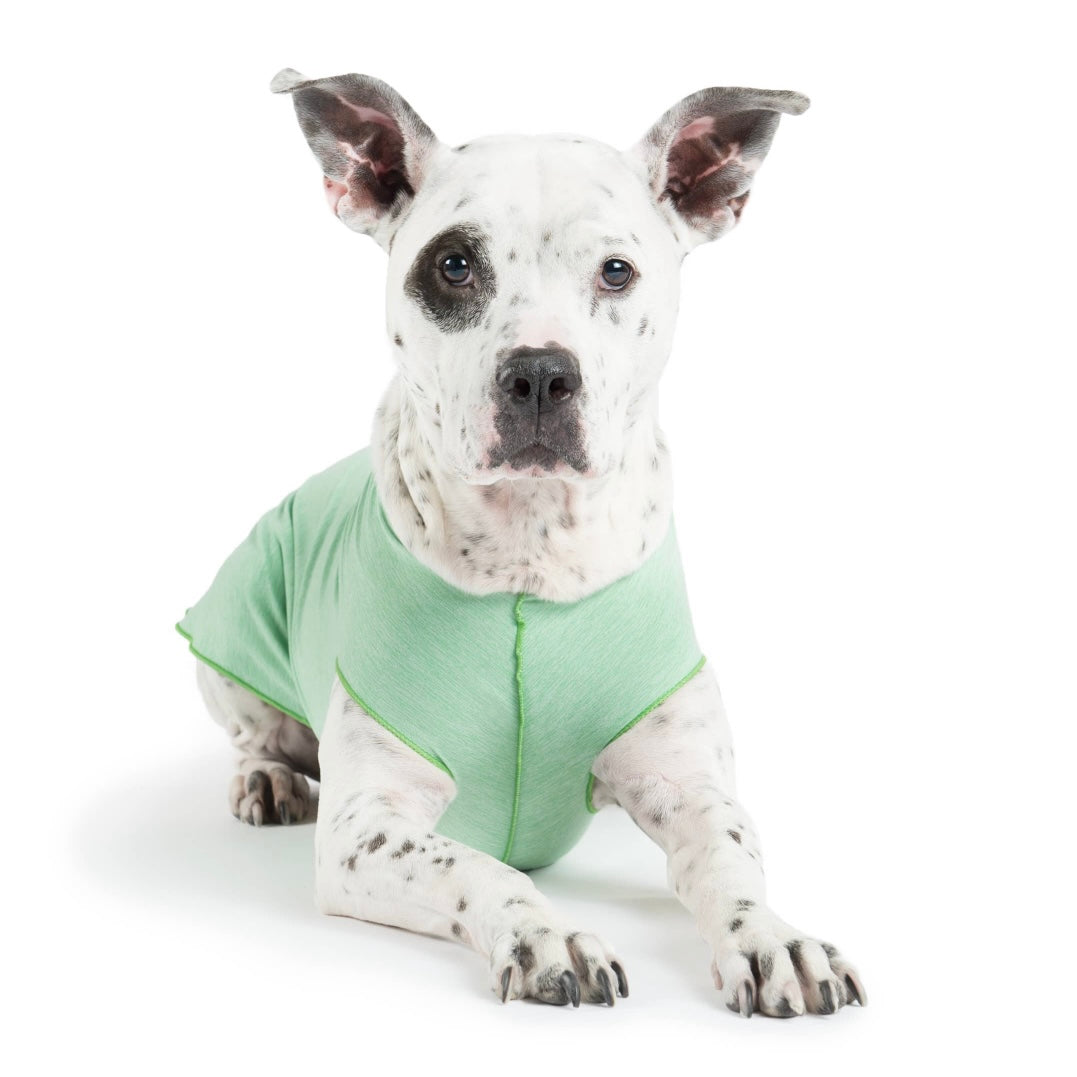 GoldPaw Sun Shield Tee