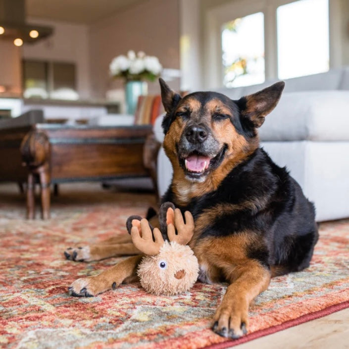 PLAY Mythical Collection Plush Dog Toys