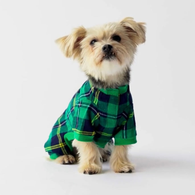 Silver Paw Plaid Pajamas