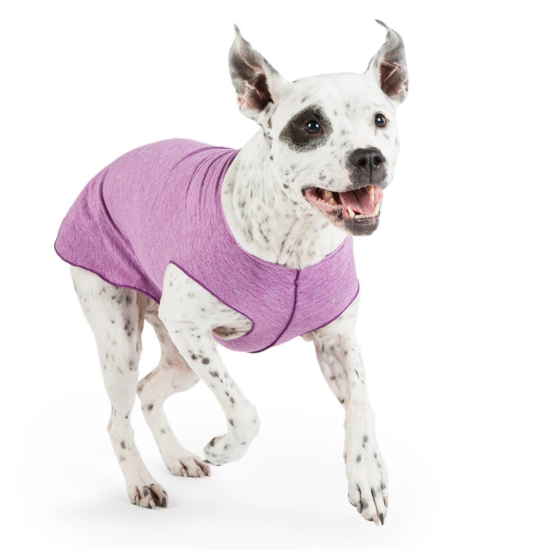 GoldPaw Sun Shield Tee