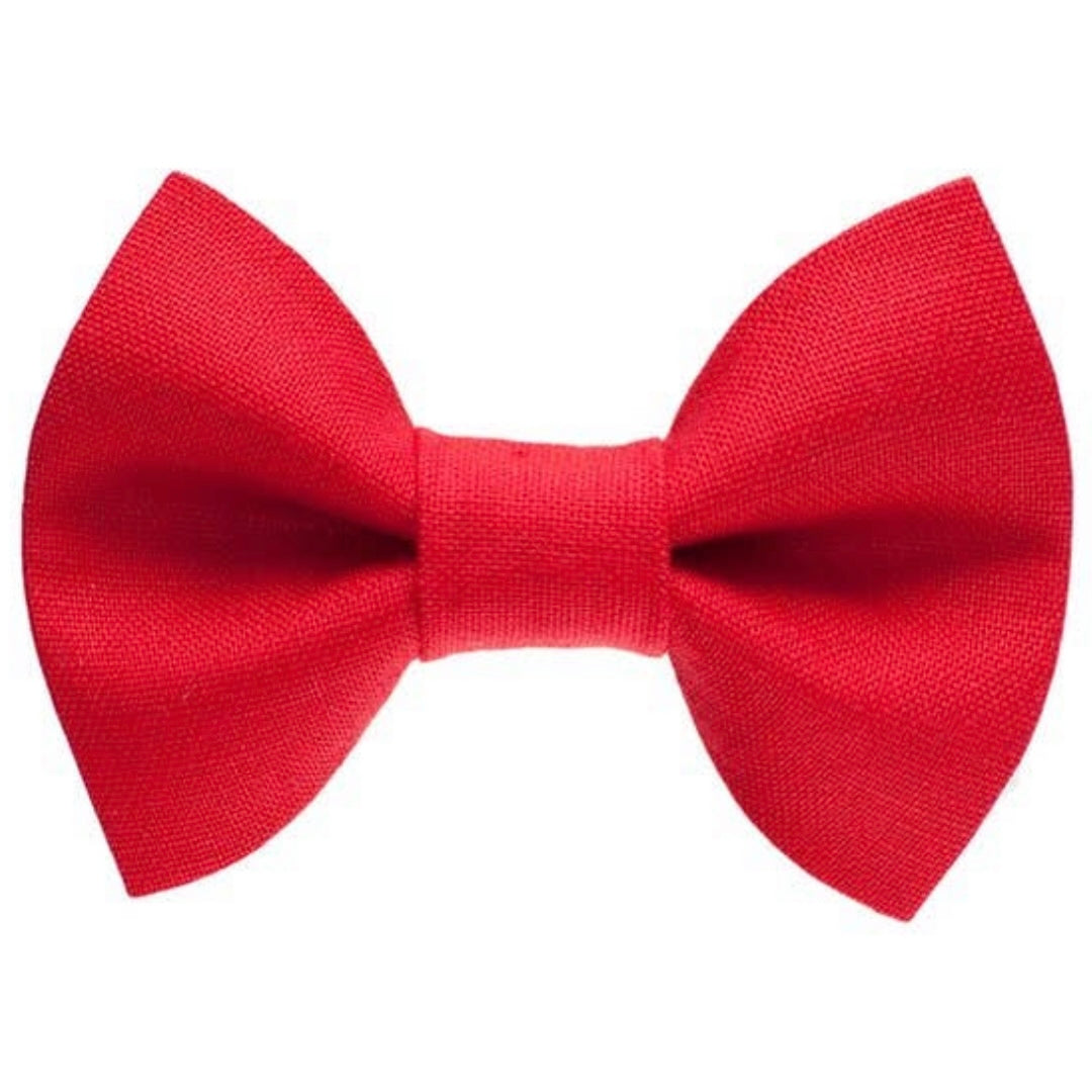 Sweet Pickles Cat Bow Tie: Boss Is In