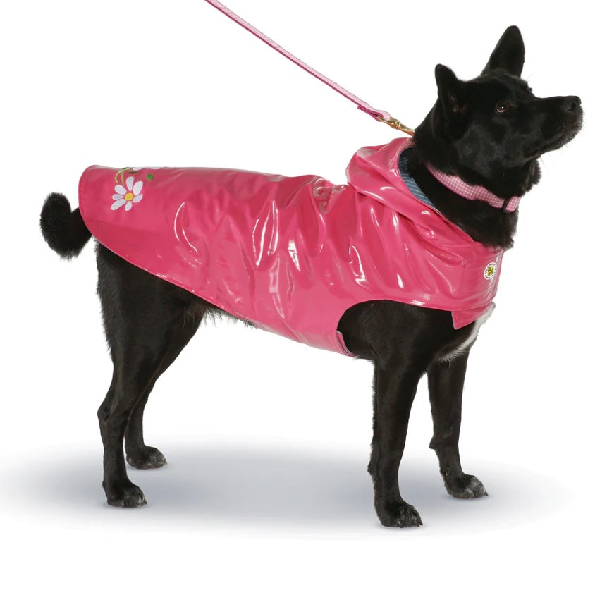Up Country Daisy Nantucket Slicker