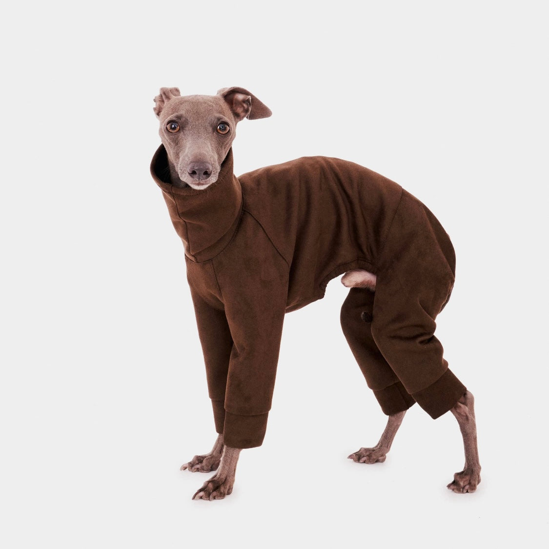 FORGALGO Sweatshirt - 4 Legs