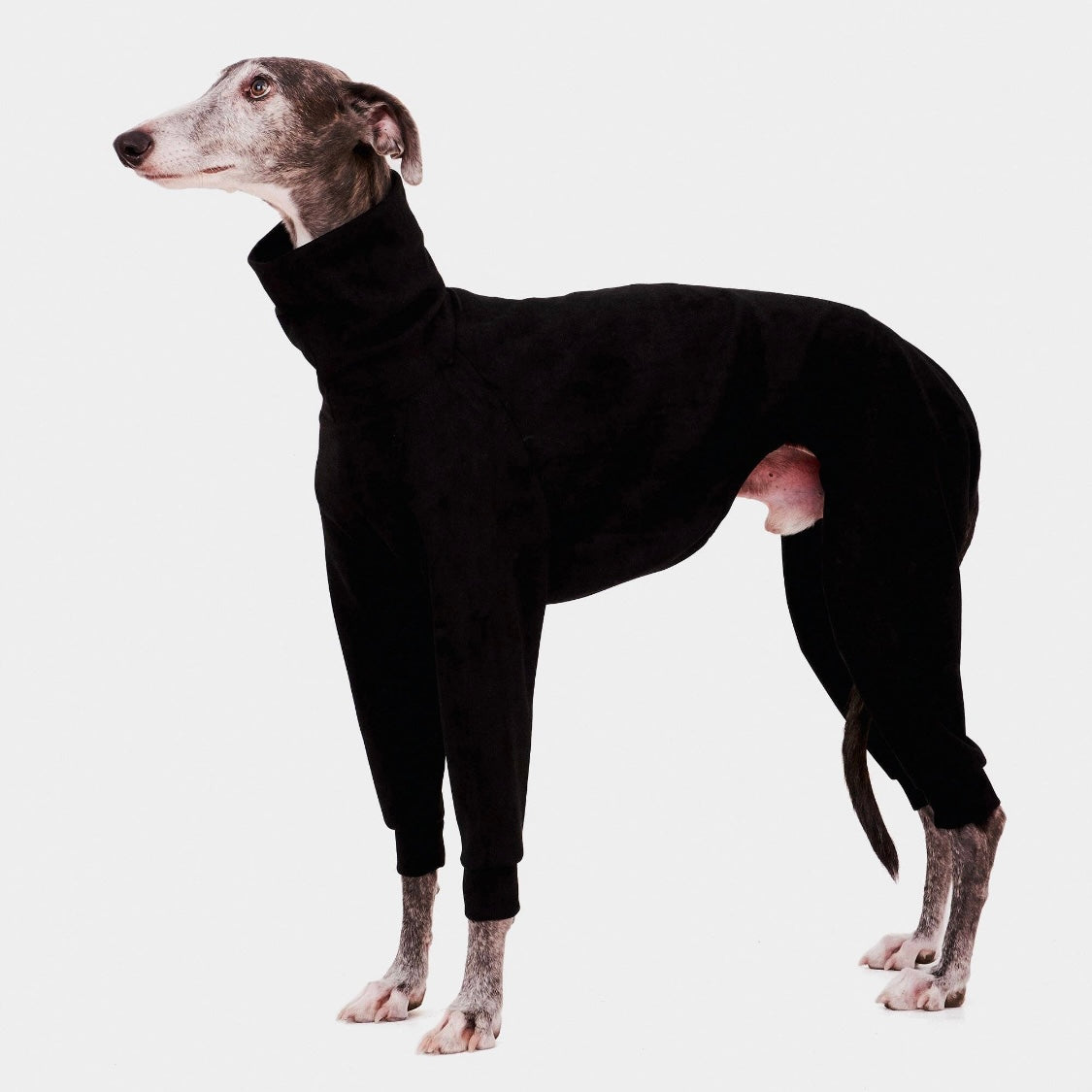 FORGALGO Sweatshirt - 4 Legs