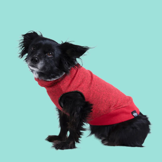 Long Dog Clothing Susie Reversible Knit