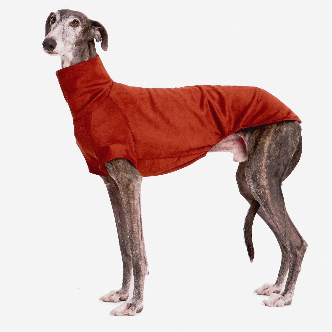 FORGALGO Sweatshirt