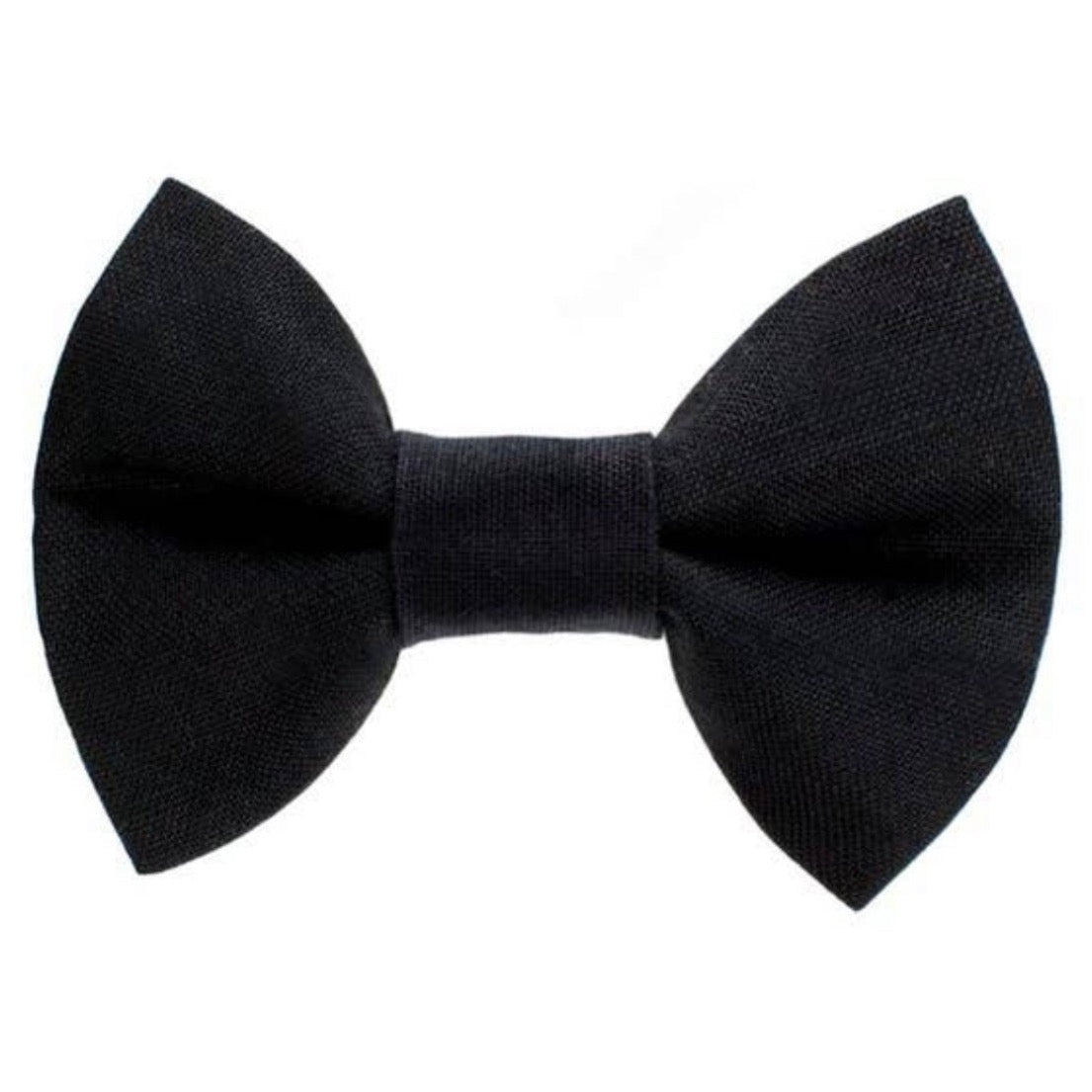 Sweet Pickles Cat Bow Tie: Back to Business