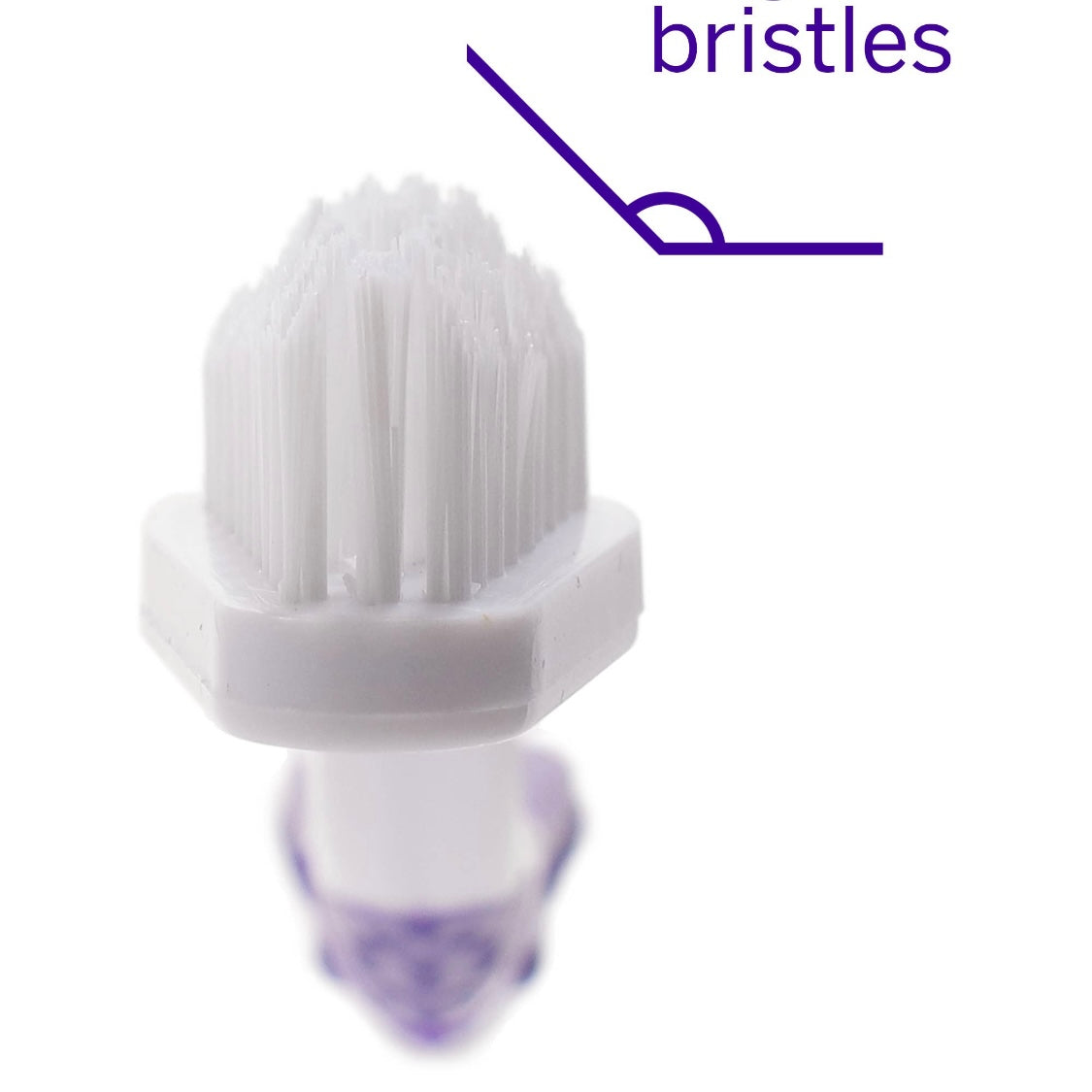 Petsmile Professional Pet Dual Head Toothbrush