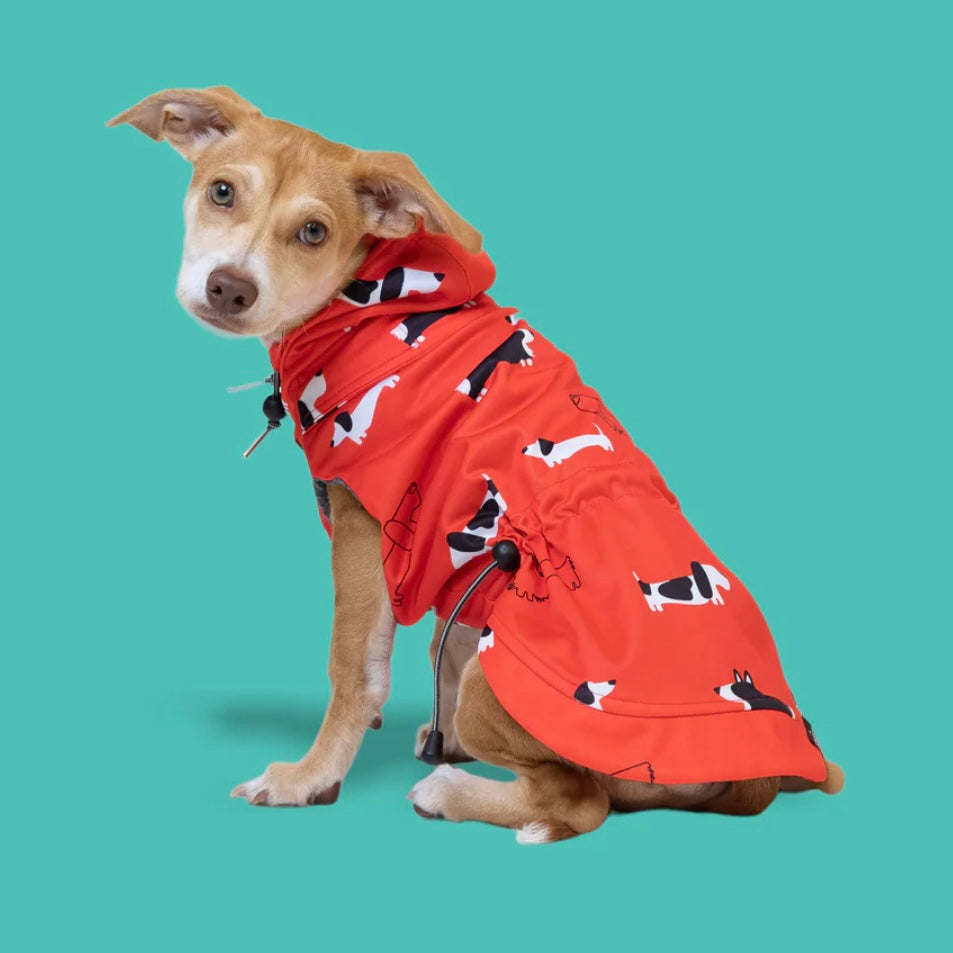 Long Dog Clothing Low Rider Stretch Raincoat