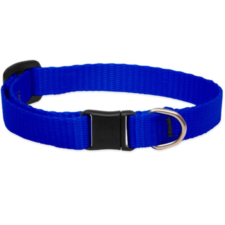 Lupine Cat Collar (no bell)