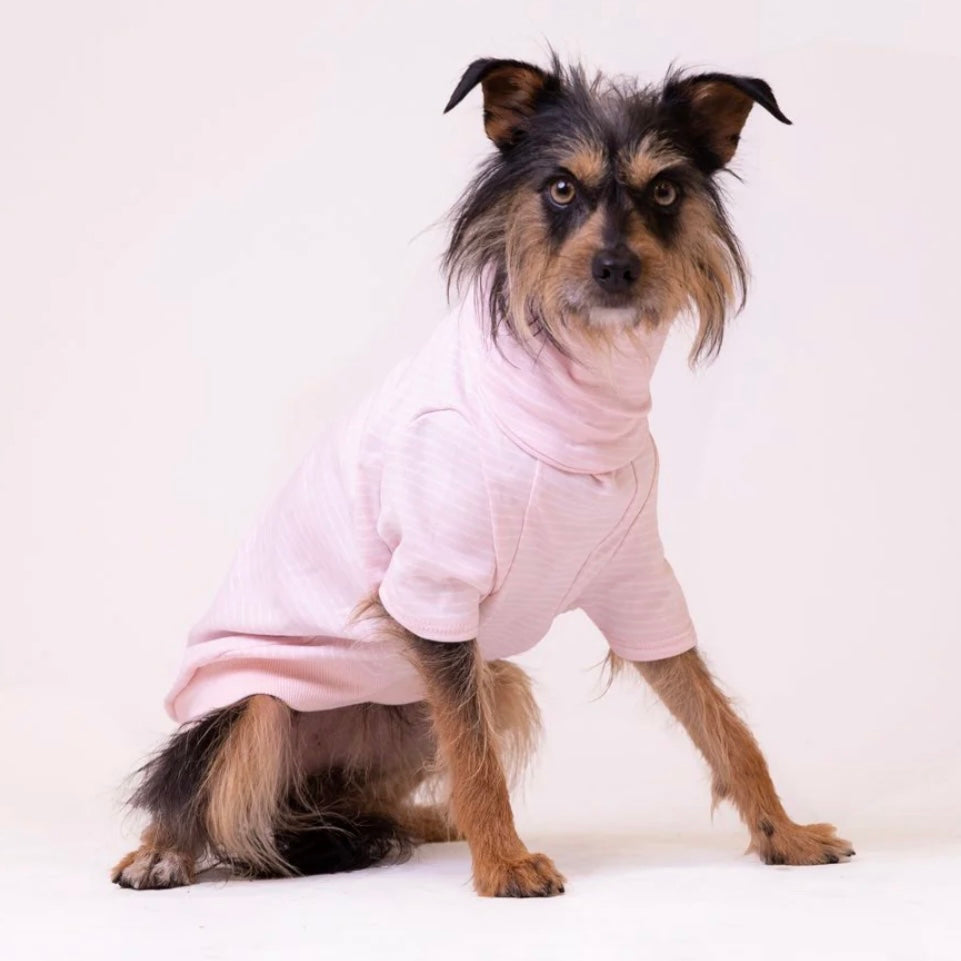 Long Dog Clothing Flamingo Tee