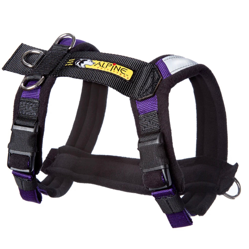 Alpine Urban Trail Adjustable Harness