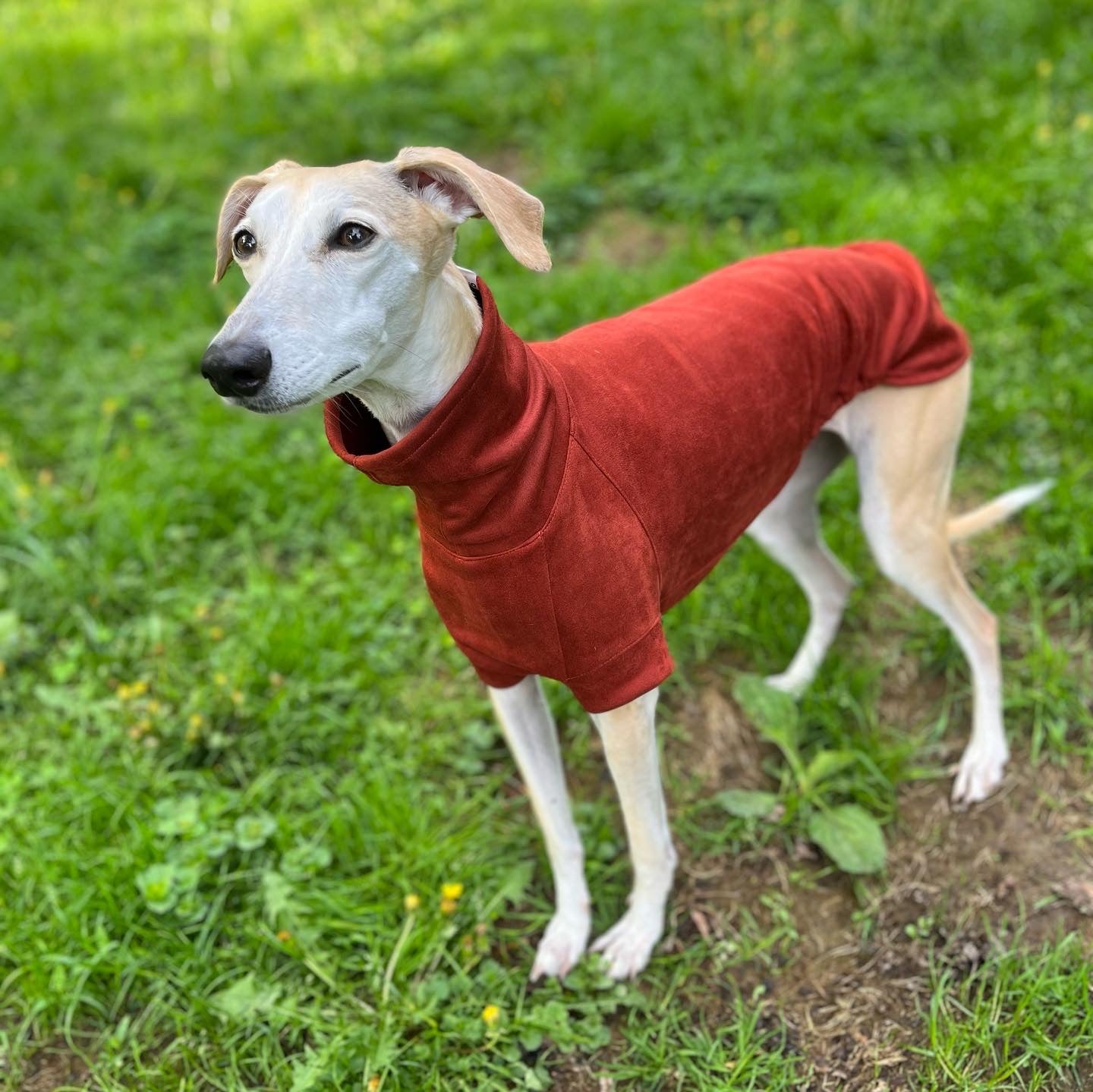 FORGALGO Sweatshirt