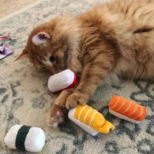 Munchiecat Nigiri Sushi