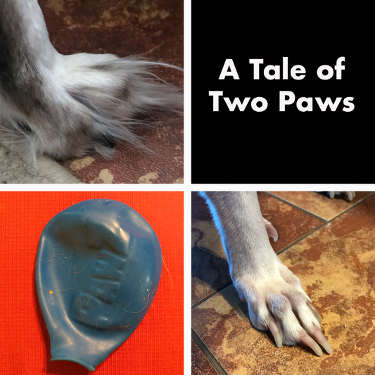 A Tale of Two Paws