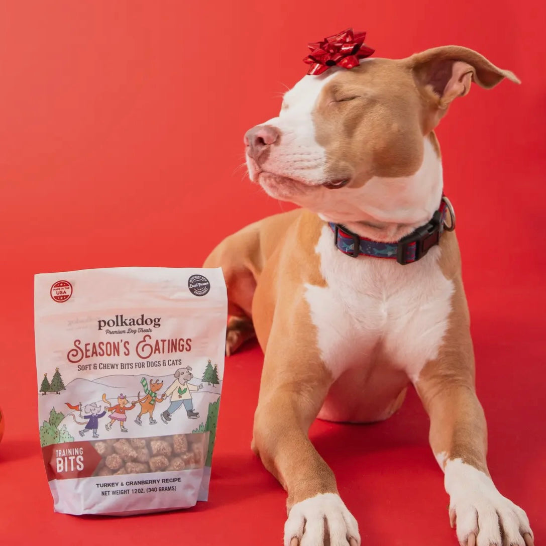 Polkadog Seasons Eatings Holiday Pouch