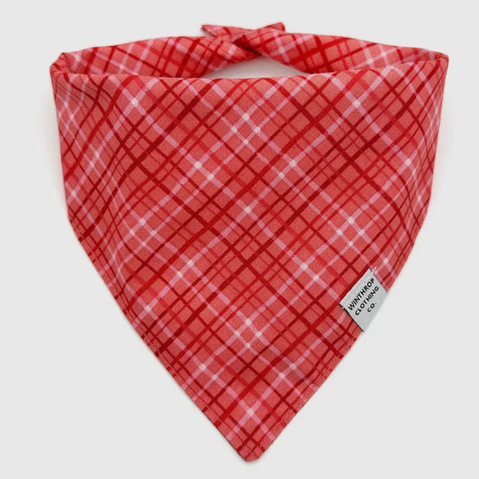 Winthrop Clothing Co. Valentine's Plaid Dog Bandana