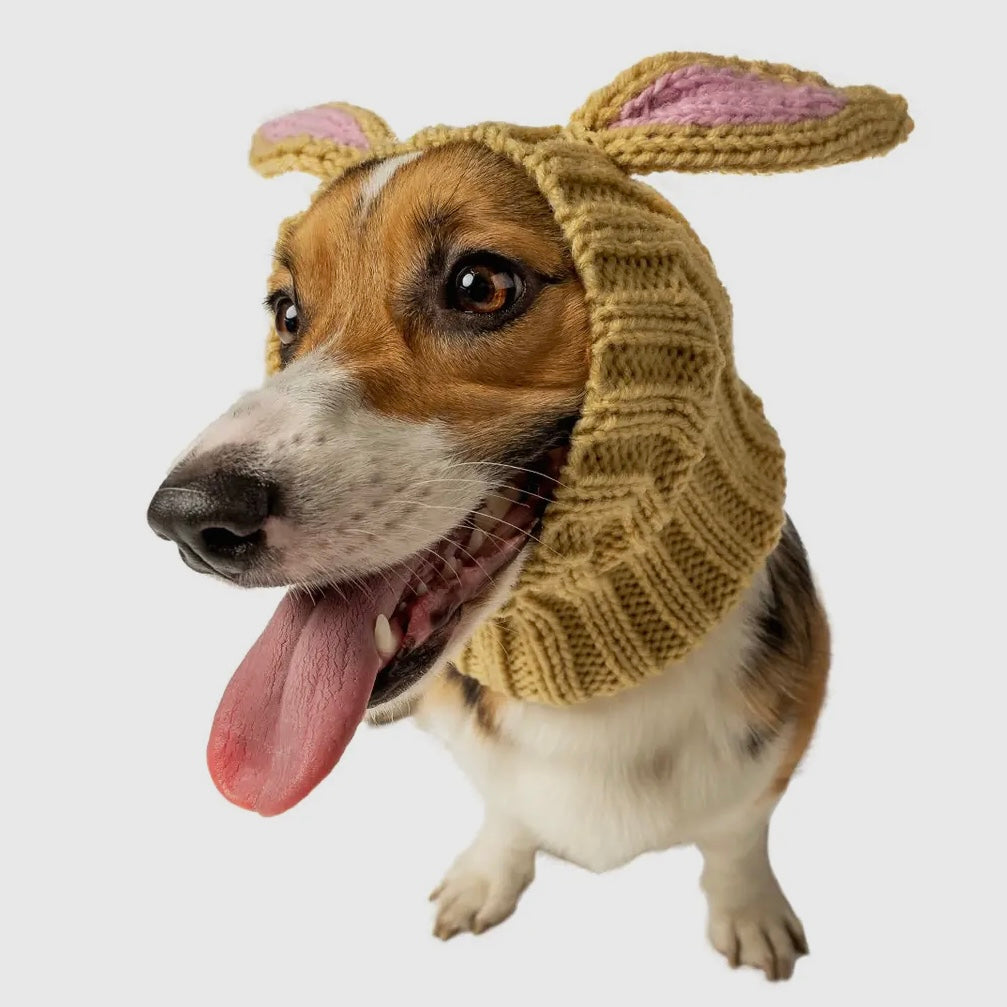 Zoo Snood: Jack Rabbit