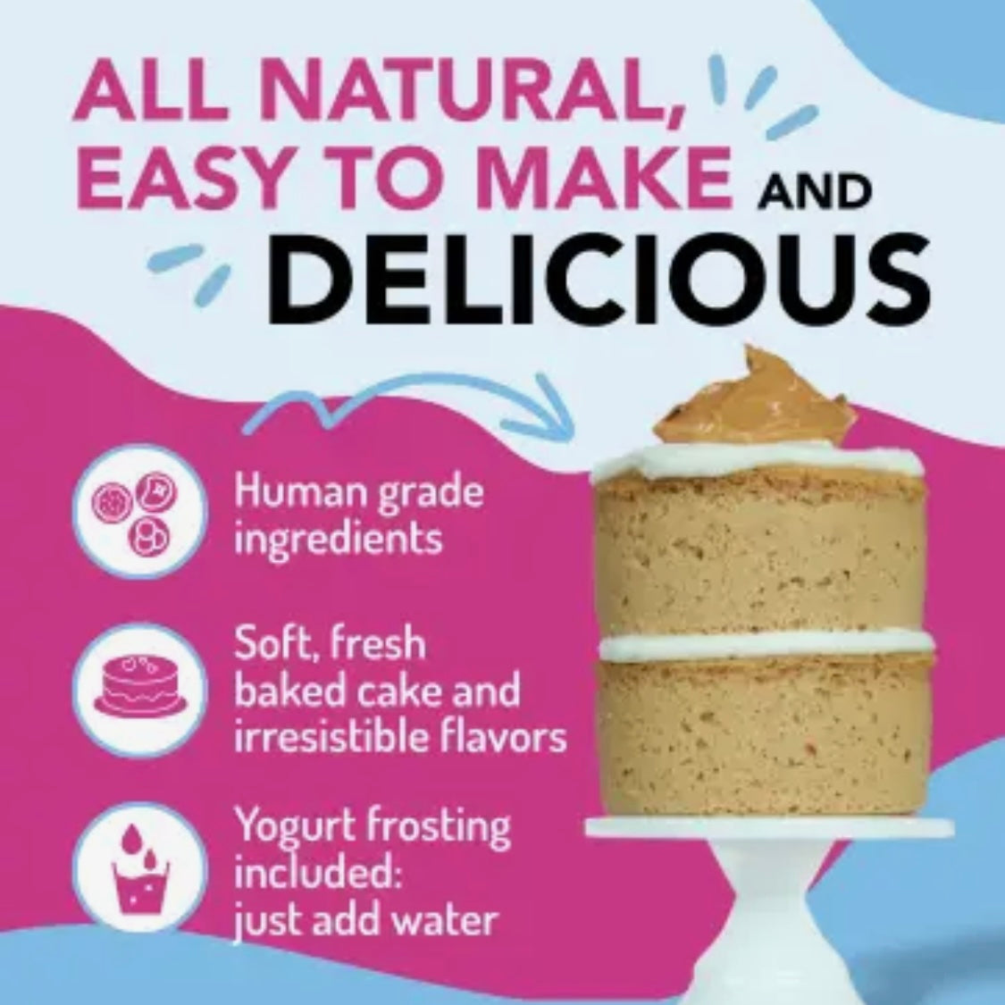 Puppy Cake Birthday Cake Mix
