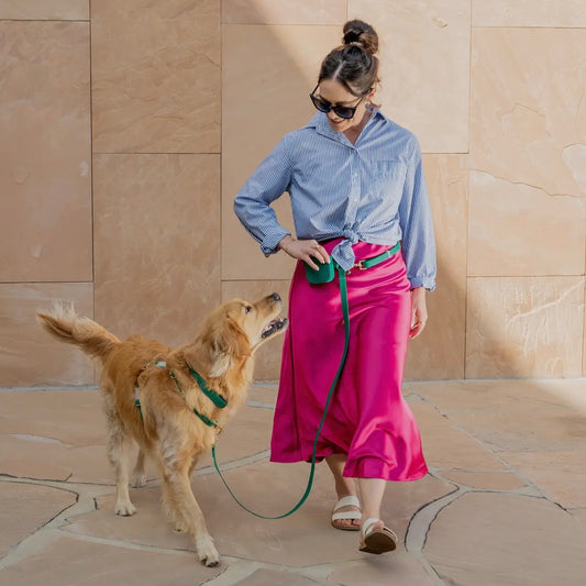 Sunny Tails 4-in-1 Convertible Hands Free Cloud Dog Leash