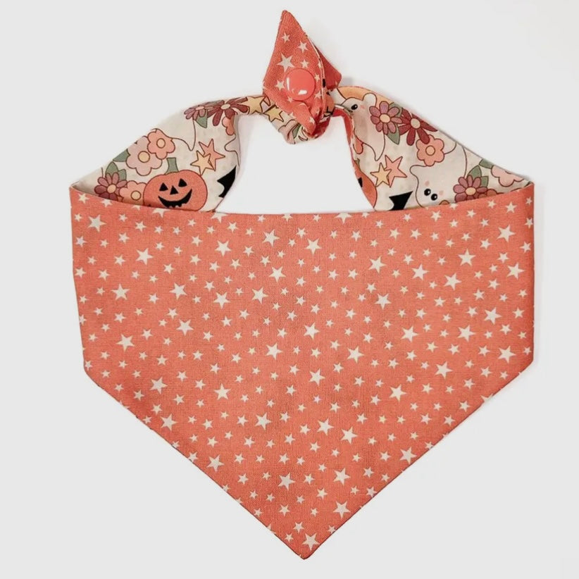 Winnie and the Hound Boho Halloween Bandana