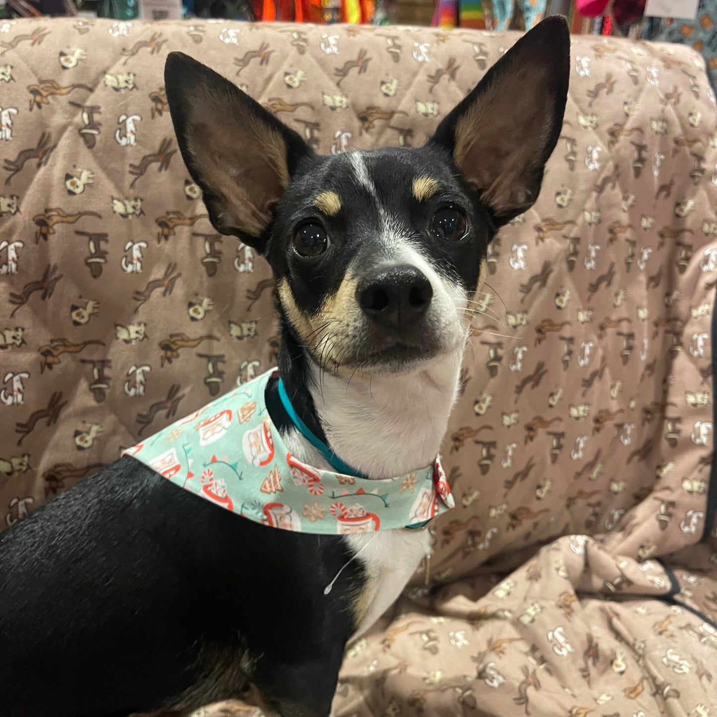 Winnie and the Hound "Santa's Hot Cocoa" Holiday Bandana