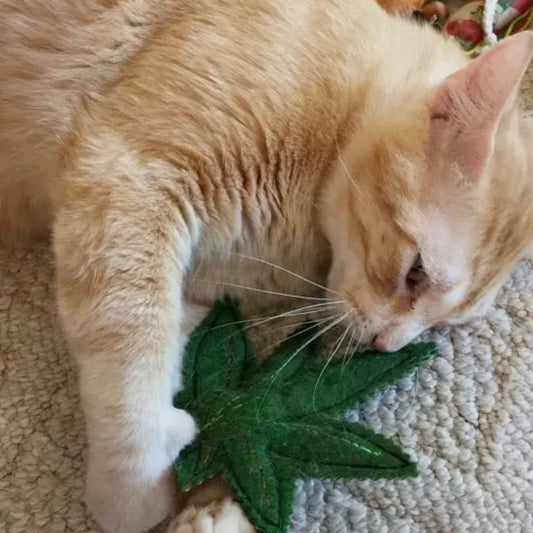 Miso Handmade "Meowy Wowyy" Marijuana Cat Toy