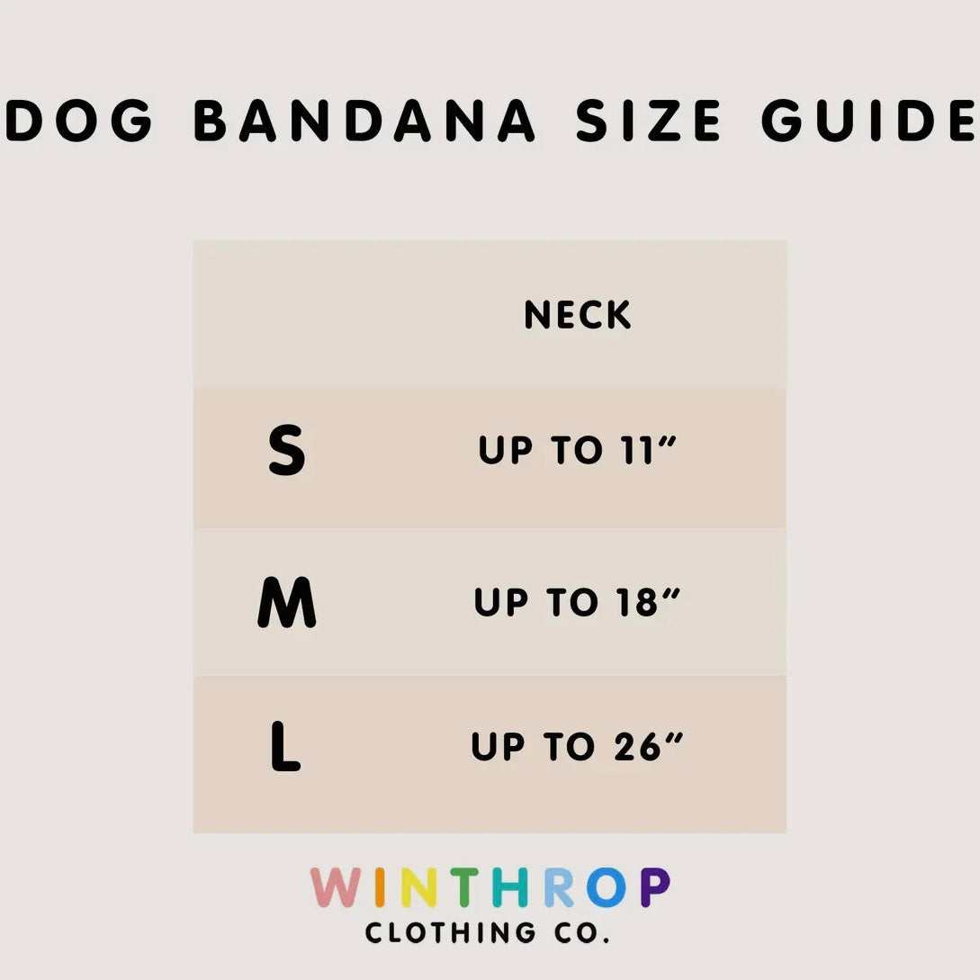 Winthrop Clothing Co. Red Buffalo Plaid Dog Bandana