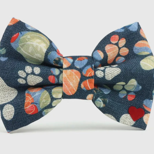 Dubdog Bow Tie - Fall Paws