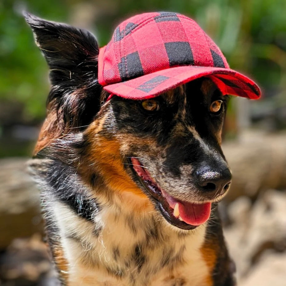 PupLid Red Plaid Camper Hat