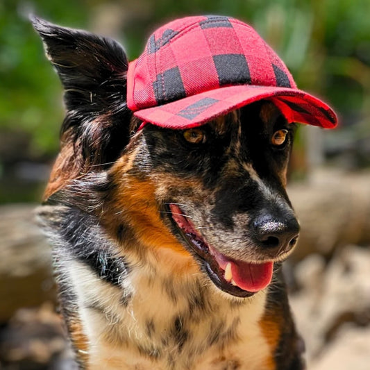 PupLid Red Plaid Camper Hat
