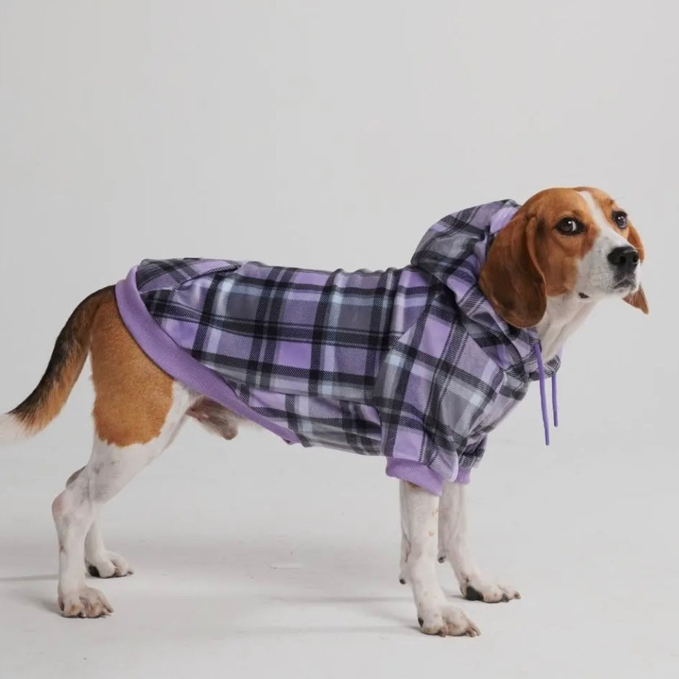 Spark Paws Plaid Dog Hoodie