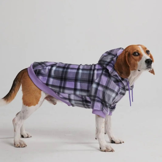 Spark Paws Plaid Dog Hoodie