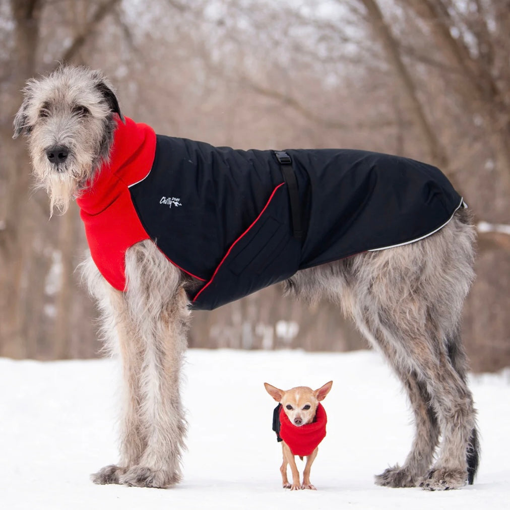 Chilly Dogs Standard Great White North Coat (Black Shell)