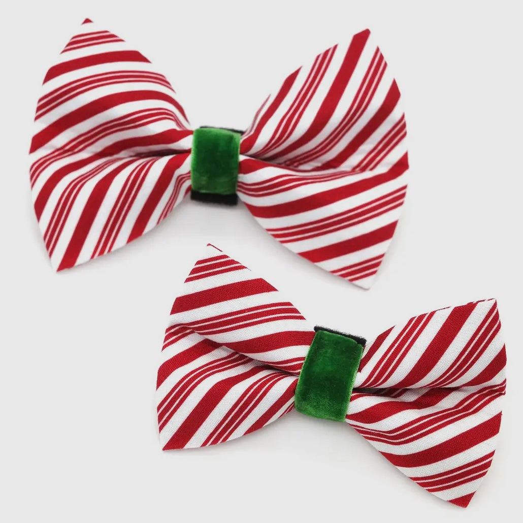 Winthrop Clothing Co. Winter Holiday Dog Bow Tie