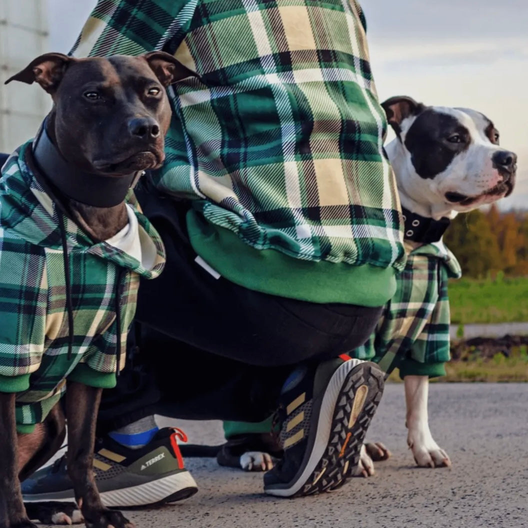 Spark Paws Plaid Dog Hoodie