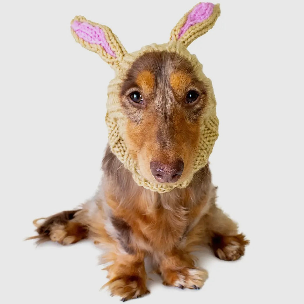 Zoo Snood: Jack Rabbit