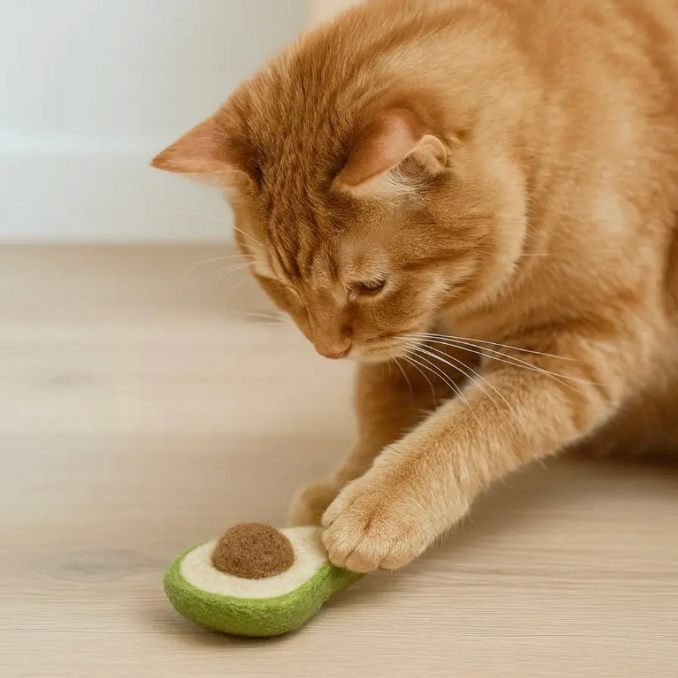 Ciao Gatto Avogatto Catnip Toy