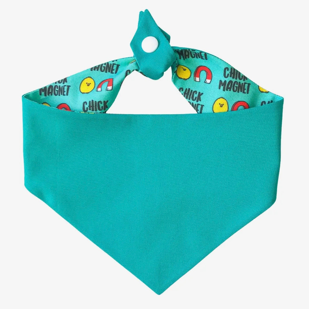 Winnie and the Hound Chick Magnet Bandana