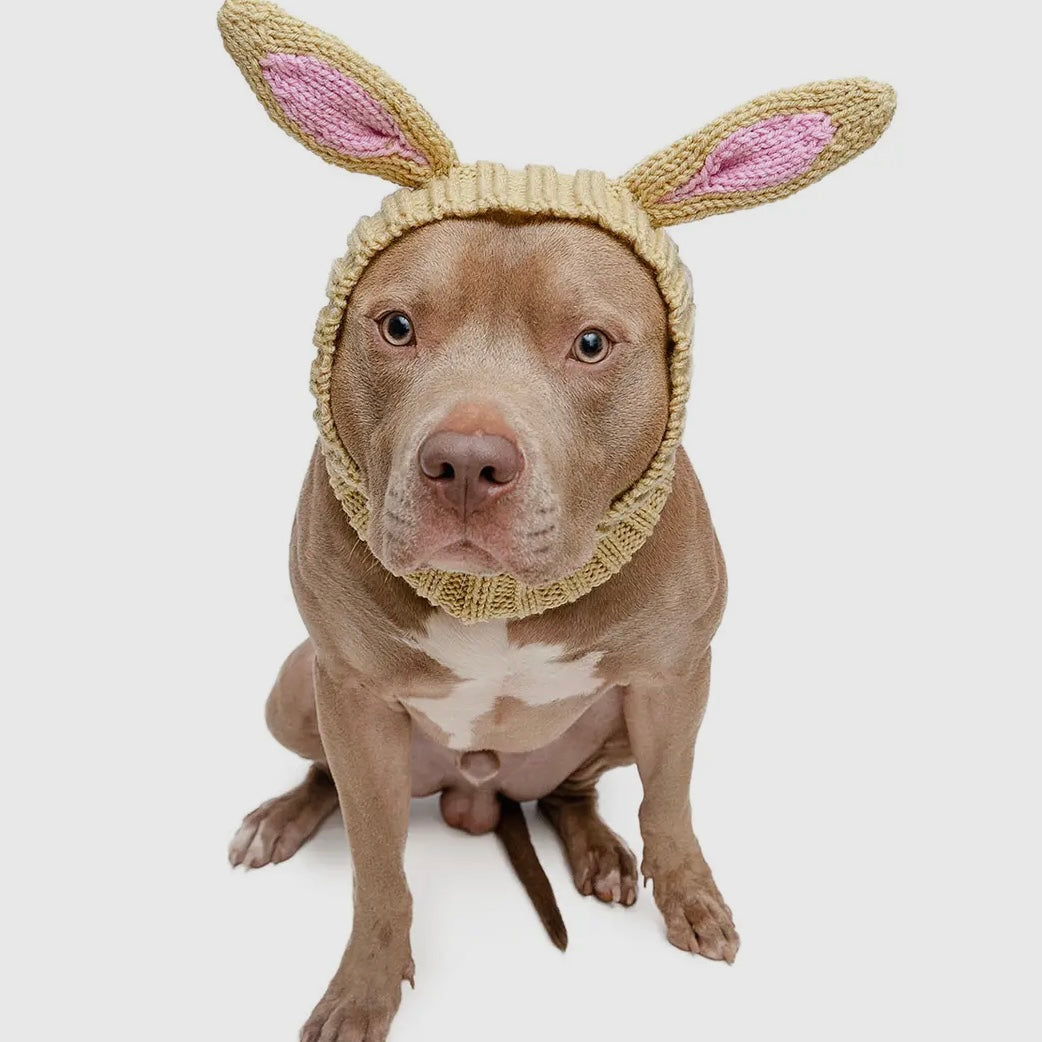 Zoo Snood: Jack Rabbit