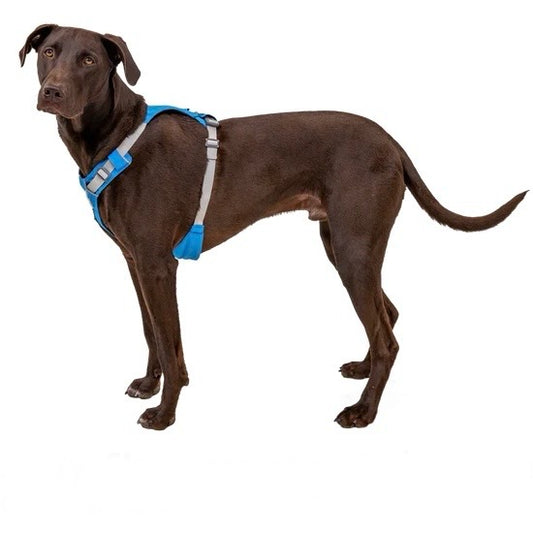 Ruffwear Hi & Light™ Lightweight Dog Harness