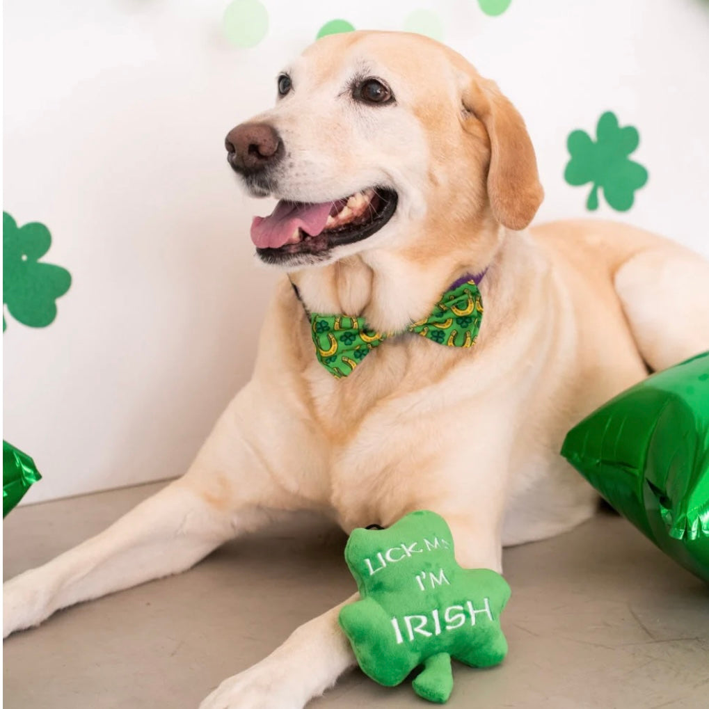 Huxley & Kent Lick Me I'm Irish Dog Toy