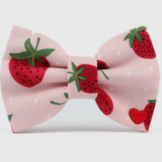 Dubdog Bow Tie - Strawberries