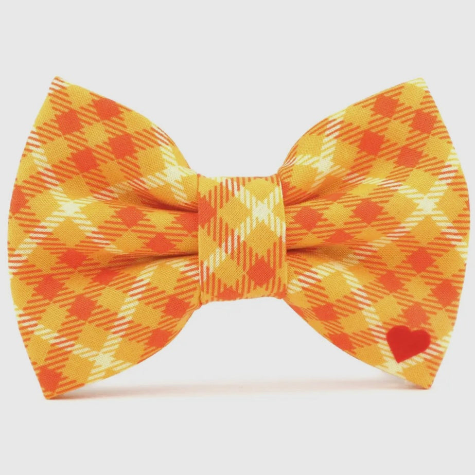 Dubdog Designs "Pumpkin Plaid" Bow Tie Collar
