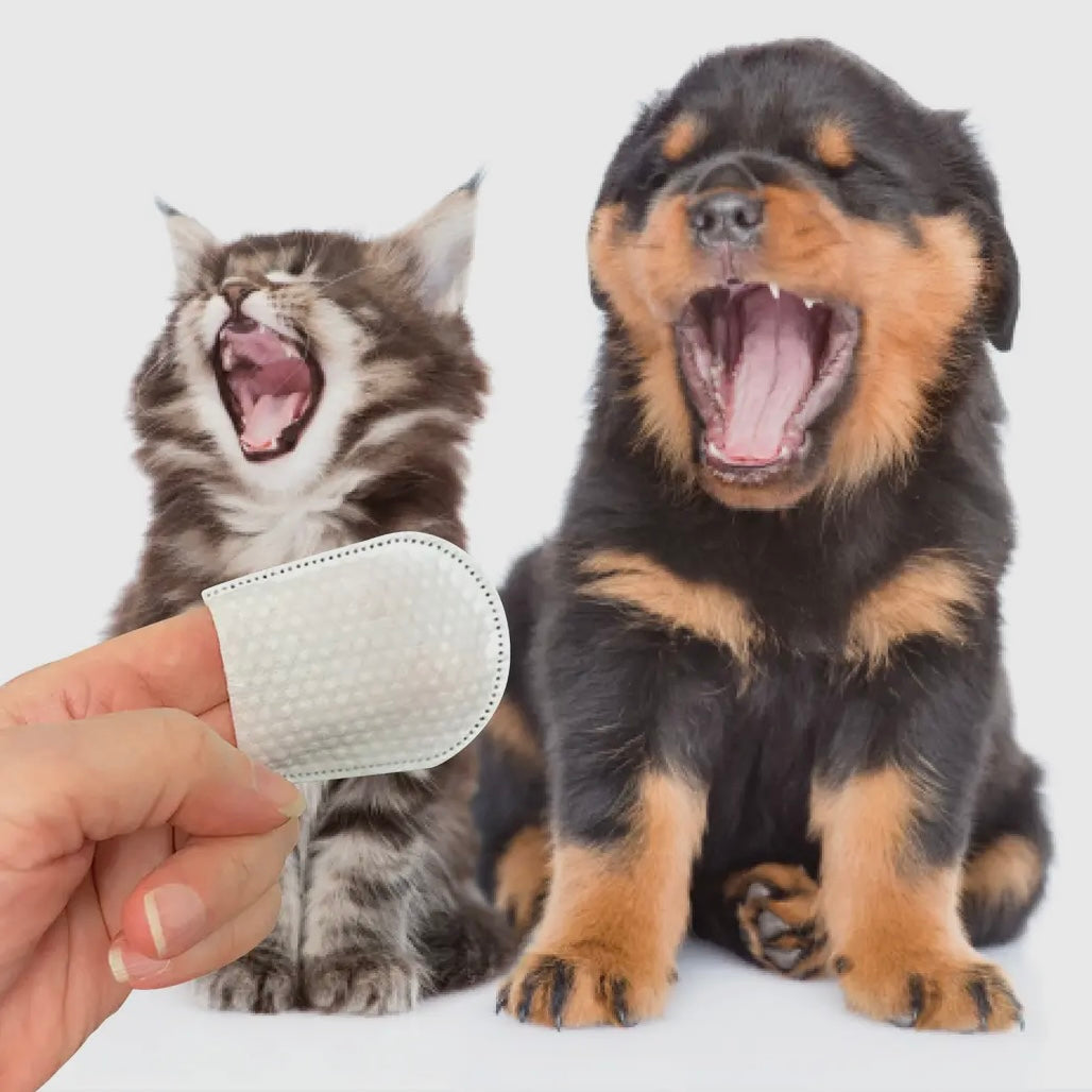 Pure and Natural Pet Dental Wipes for Dogs and Cats
