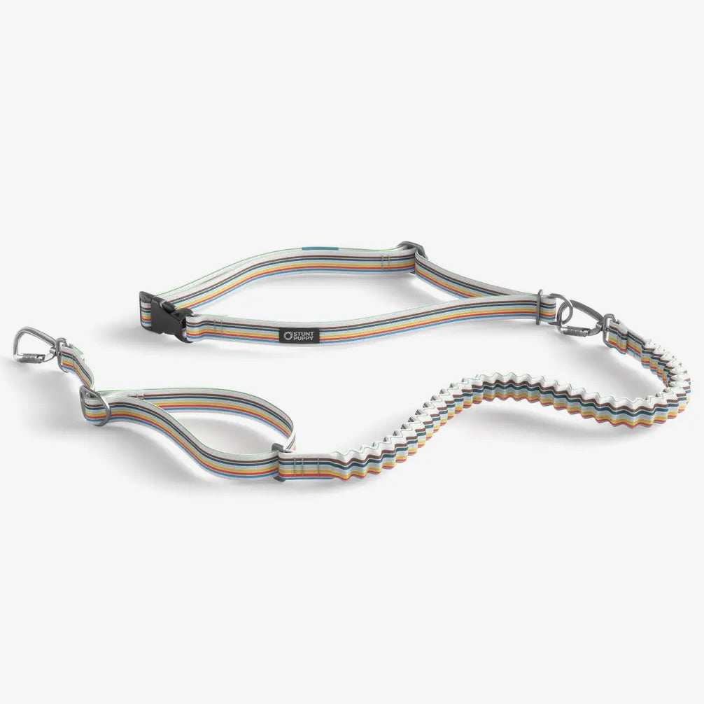 Stunt Puppy Track Stunt Runner Leash