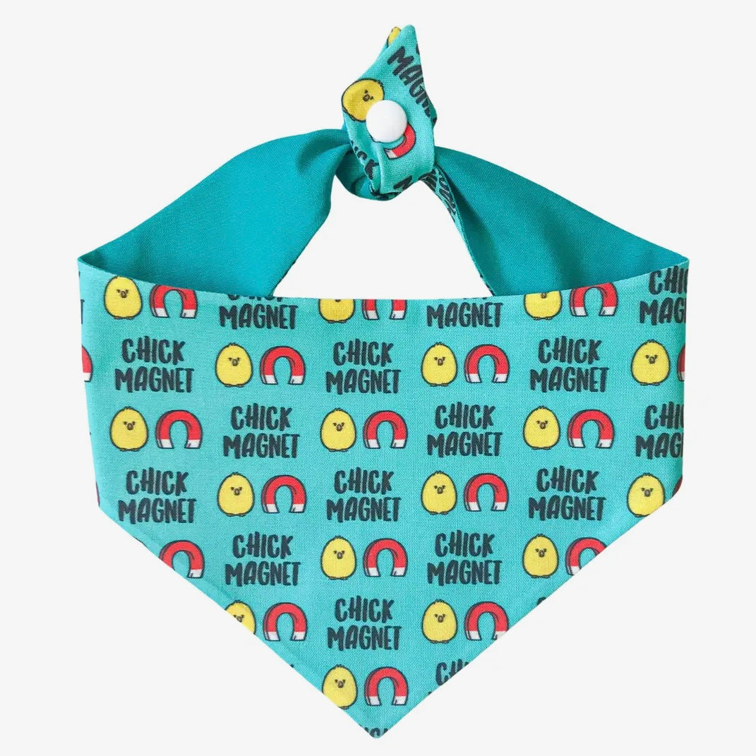 Winnie and the Hound Chick Magnet Bandana